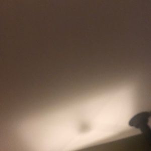 Meet your Posher, Ava